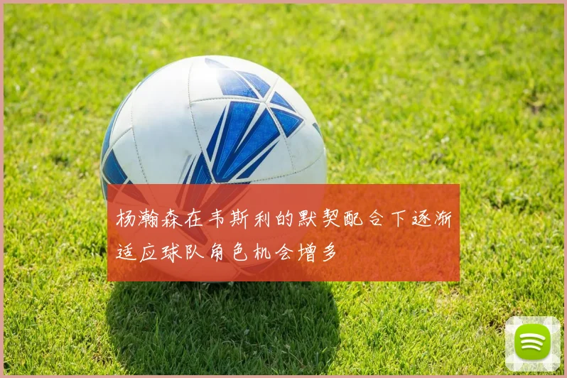 杨瀚森在韦斯利的默契配合下逐渐适应球队角色机会增多